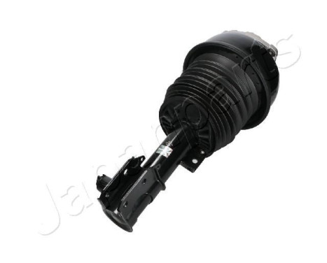 Pneumatic strut