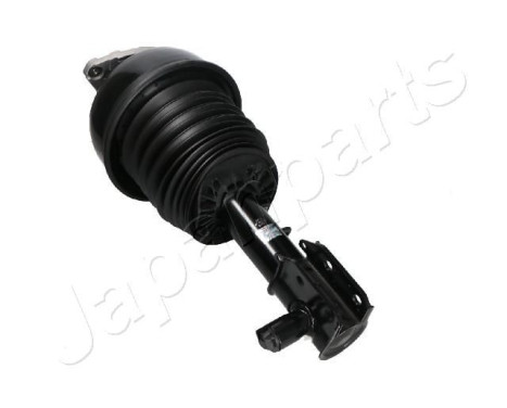 Pneumatic strut, Image 2