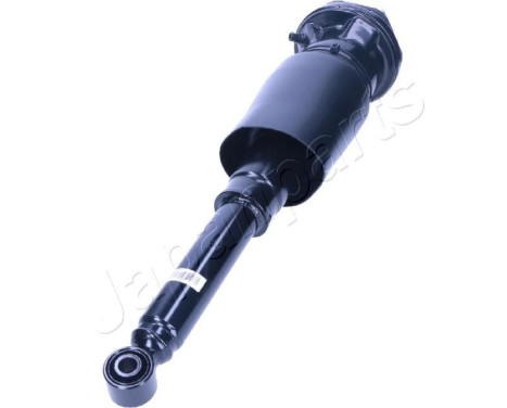 Pneumatic strut, Image 2