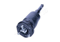 Pneumatic strut