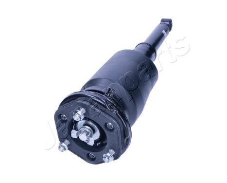 Pneumatic strut