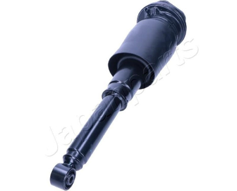 Pneumatic strut, Image 2