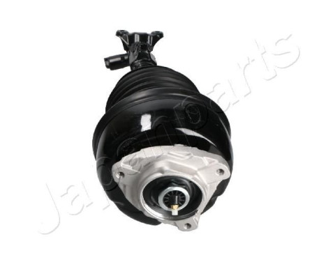 Pneumatic strut, Image 2