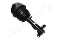 Pneumatic strut