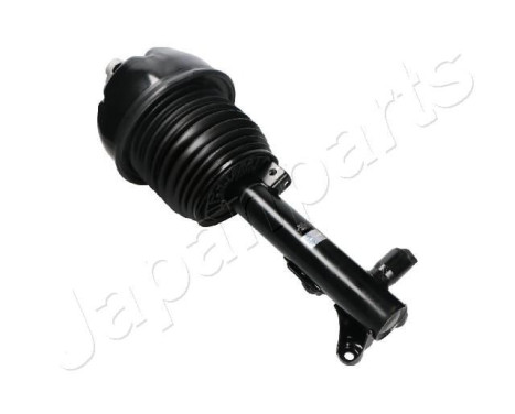 Pneumatic strut