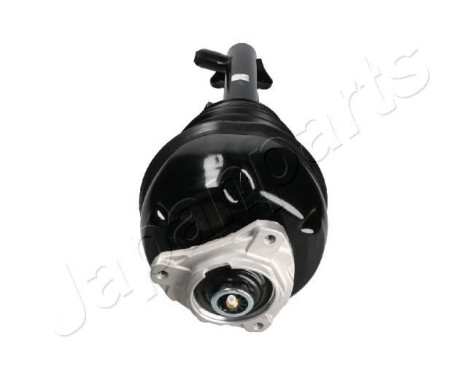 Pneumatic strut, Image 2