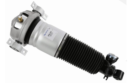 Pneumatic strut