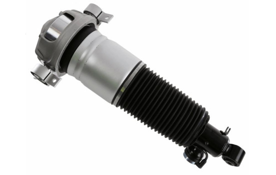 Pneumatic strut, Image 2