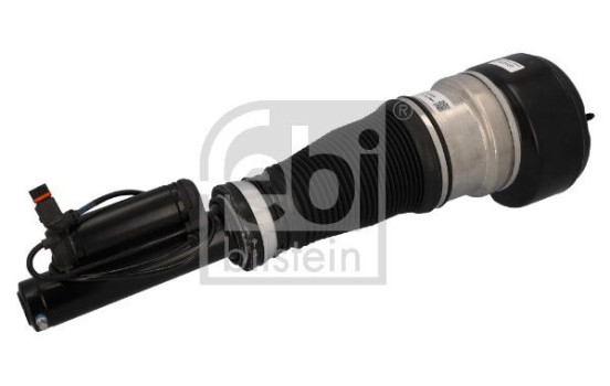 Pneumatic strut