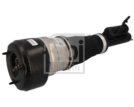 Pneumatic strut, Image 2