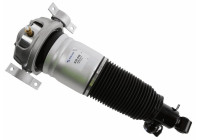 Pneumatic strut