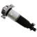 Pneumatic strut, Thumbnail 2