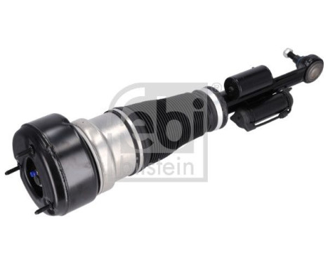 Pneumatic strut, Image 2