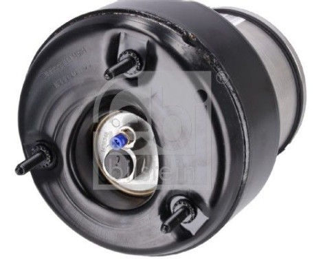 Pneumatic strut, Image 4