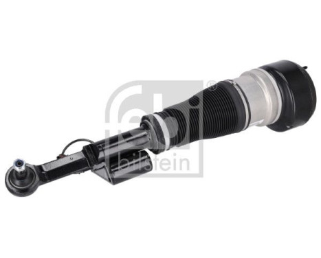 Pneumatic strut, Image 2