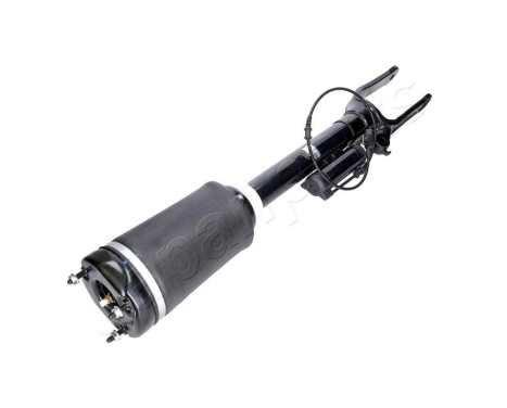 Pneumatic strut, Image 2