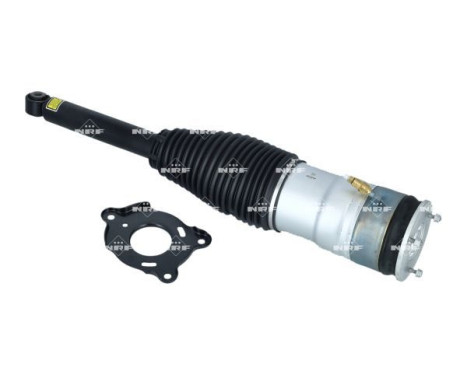 Pneumatic strut, Image 10