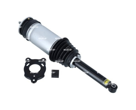 Pneumatic strut, Image 6