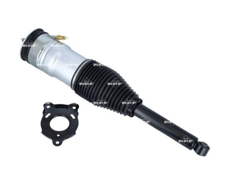 Pneumatic strut, Image 6