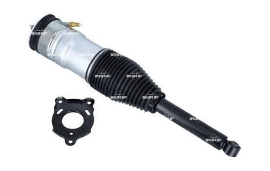 Pneumatic strut, Image 6