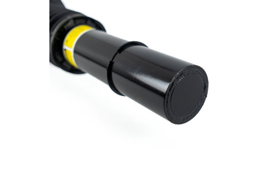 Pneumatic strut