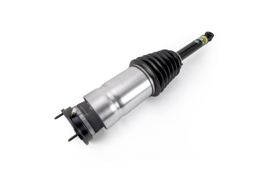 Pneumatic strut, Image 2