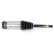 Pneumatic strut, Thumbnail 3