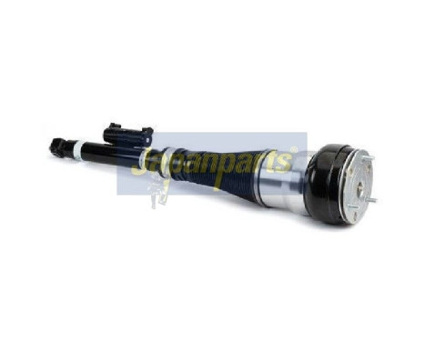 Pneumatic strut
