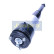 Pneumatic strut