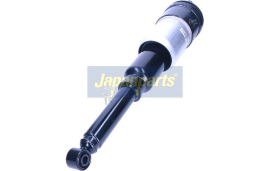 Pneumatic strut, Image 2
