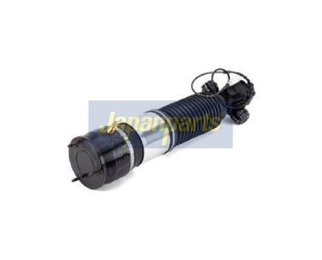 Pneumatic strut