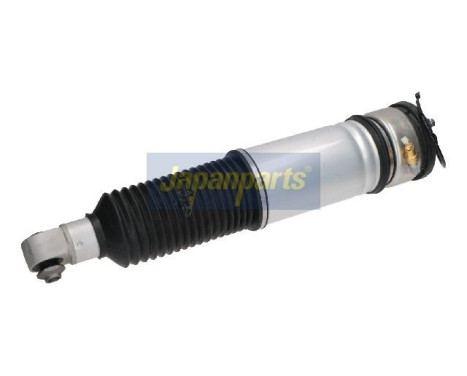 Pneumatic strut