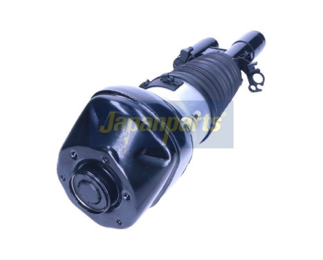 Pneumatic strut, Image 2