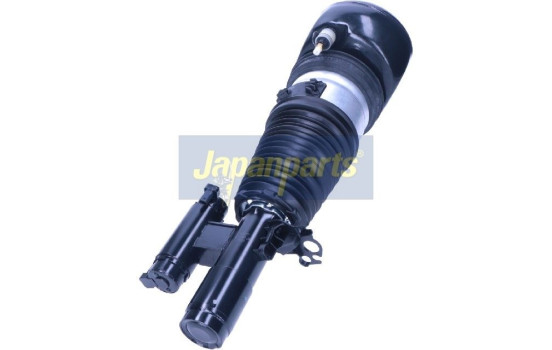 Pneumatic strut