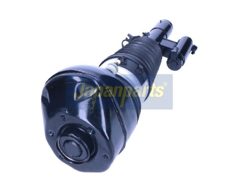 Pneumatic strut, Image 2