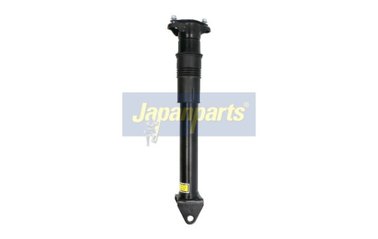Pneumatic strut