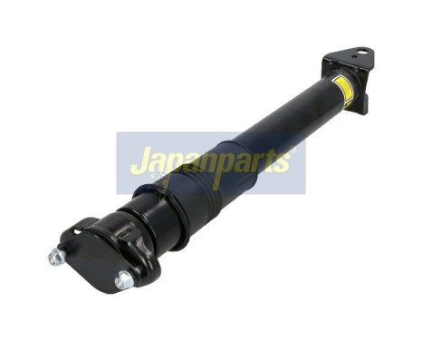 Pneumatic strut, Image 2