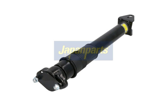 Pneumatic strut, Image 2