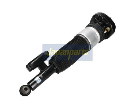 Pneumatic strut