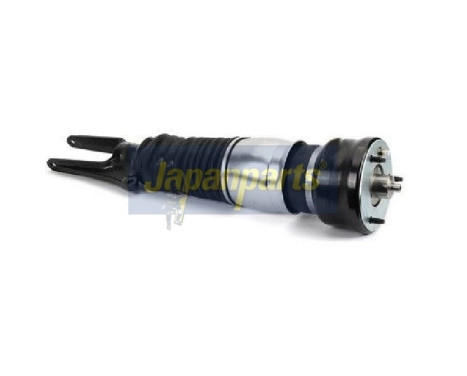 Pneumatic strut