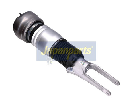 Pneumatic strut, Image 2