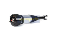 Pneumatic strut