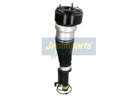 Pneumatic strut