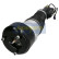 Pneumatic strut, Thumbnail 2