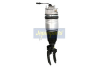 Pneumatic strut