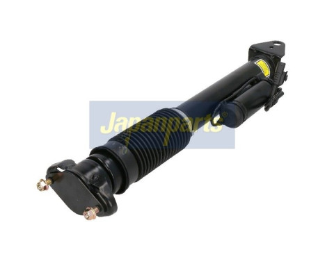 Pneumatic strut, Image 2