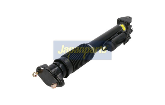 Pneumatic strut, Image 2