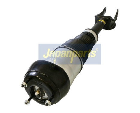 Pneumatic strut, Image 2