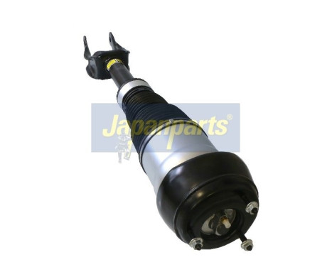 Pneumatic strut, Image 2