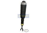 Pneumatic strut